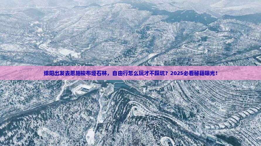 绵阳去恩施梭布垭石林自由行