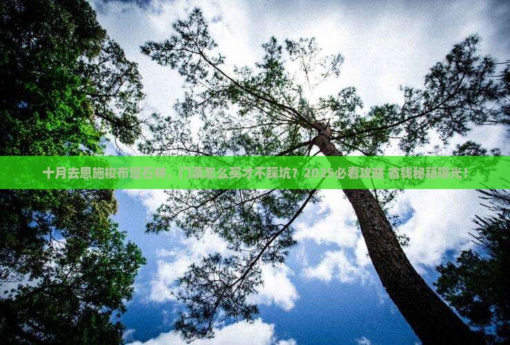 十月到恩施梭布垭石林门票