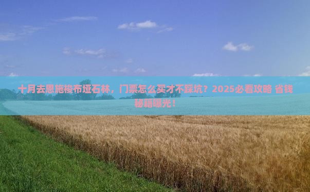十月到恩施梭布垭石林门票
