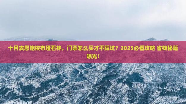 十月到恩施梭布垭石林门票