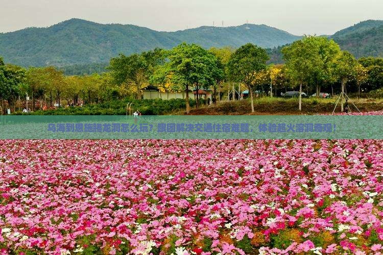 乌海到恩施腾龙洞团体旅游