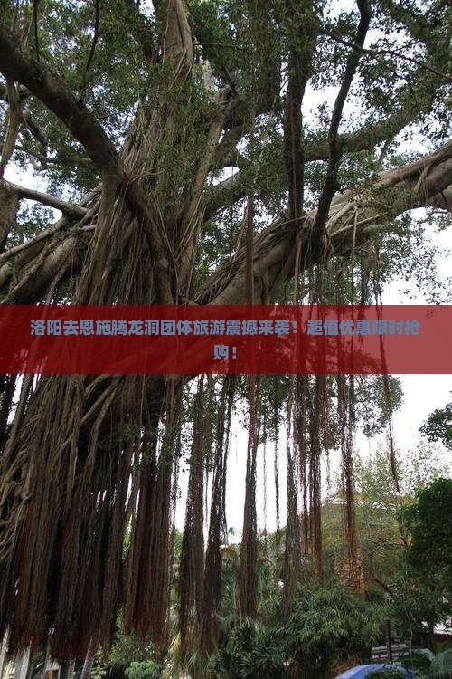 洛阳去恩施腾龙洞团体旅游