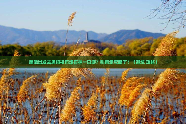 鹰潭到恩施梭布垭石林一日