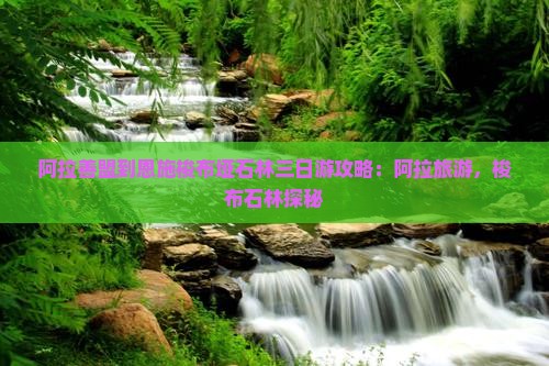 阿拉善盟到恩施梭布垭石林三日游