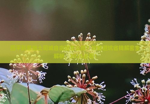 四平到恩施土司城自由团