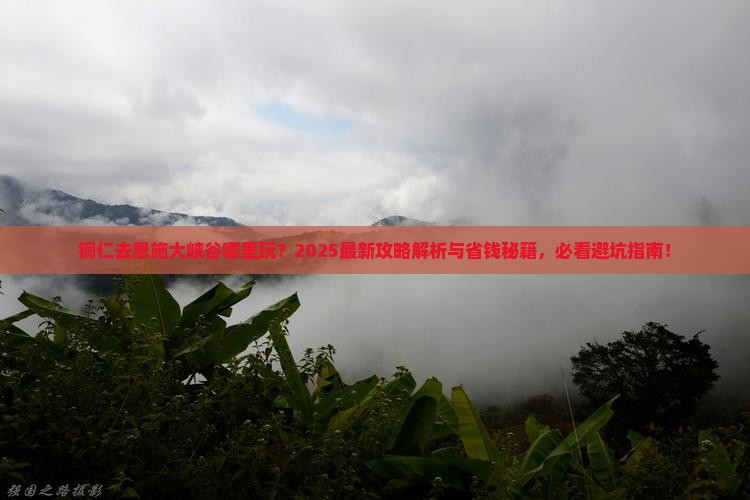 铜仁去恩施大峡谷哪里玩