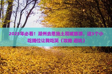 湖州去恩施土司城旅游小吃