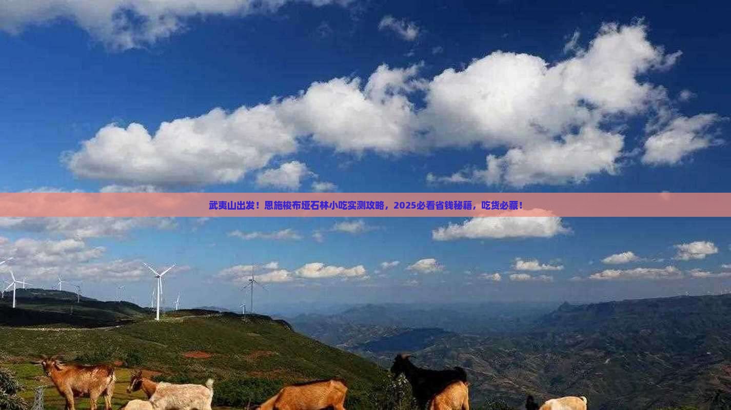 武夷山到恩施梭布垭石林旅游小吃