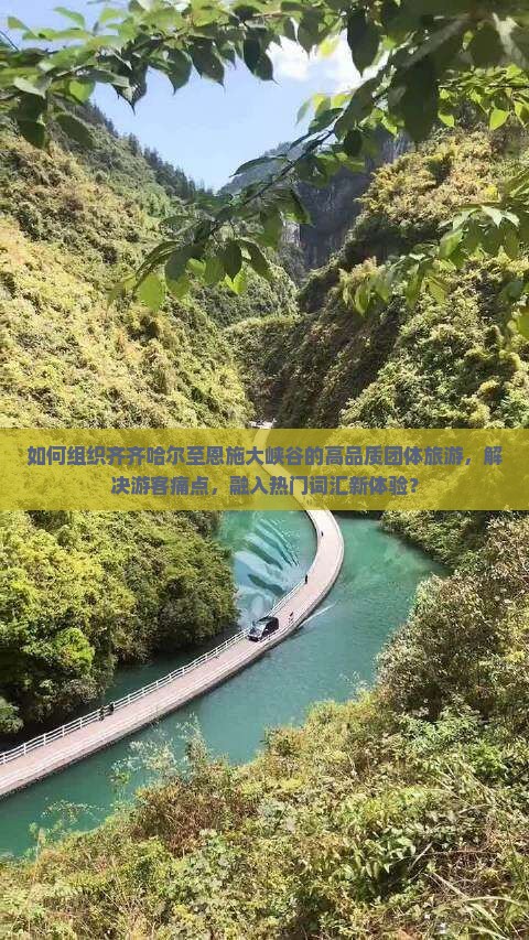 如何组织齐齐哈尔至恩施大峡谷的高品质团体旅游，解决游客痛点，融入热门词汇新体验？