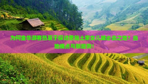 为何金华游客热衷于探访恩施土家女儿城必去之地？当地痛点与新趋势！