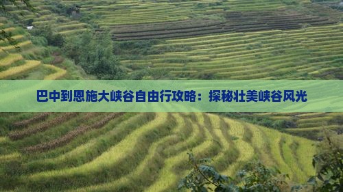 巴中到恩施大峡谷自由行攻略：探秘壮美峡谷风光