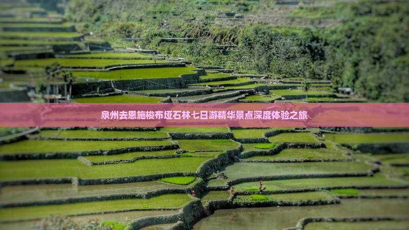 泉州去恩施梭布垭石林七日游精华景点深度体验之旅