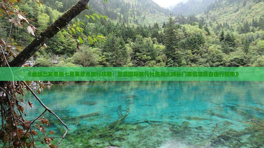 《盘锦出发恩施七星寨景点旅行攻略：宜昌国际旅行社恩施大峡谷门票信息及自由行指南》
