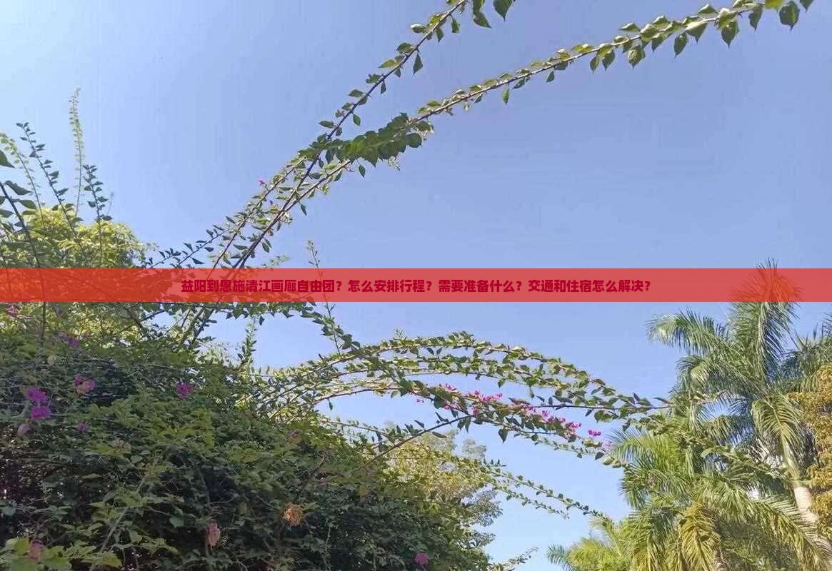 益阳到恩施清江画廊自由团？怎么安排行程？需要准备什么？交通和住宿怎么解决？