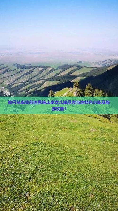 如何从来宾前往恩施土家女儿城品尝当地特色小吃及旅游攻略? 如何从来宾前往恩施土家女儿城品尝当地特色小吃及旅游攻略?
