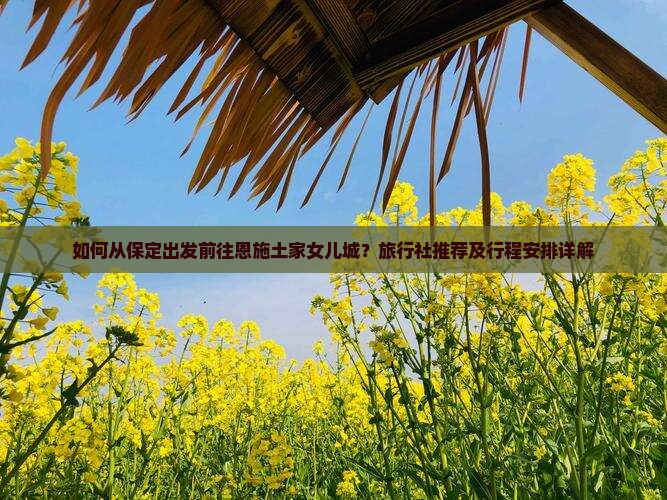 如何从保定出发前往恩施土家女儿城？旅行社推荐及行程安排详解