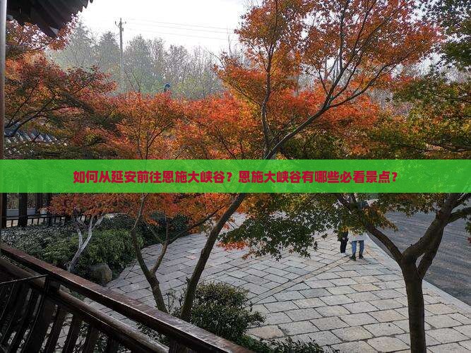 如何从延安前往恩施大峡谷？恩施大峡谷有哪些必看景点？