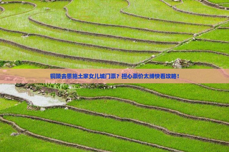 铜陵去恩施土家女儿城门票？担心票价太缚快看攻略！