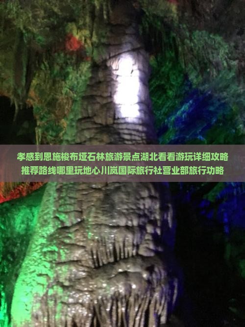孝感到恩施梭布垭石林旅游景点湖北看看游玩详细攻略推荐路线哪里玩地心川岚国际旅行社营业部旅行功略