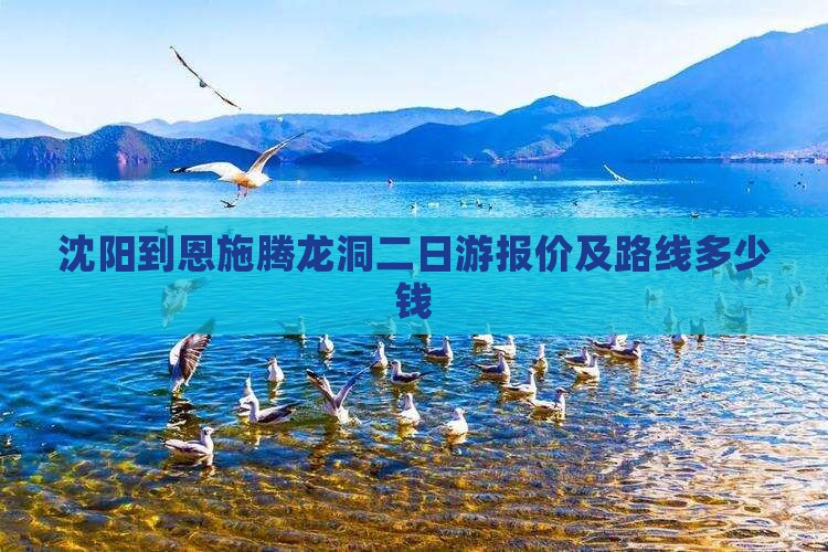 沈阳到恩施腾龙洞二日游报价及路线多少钱