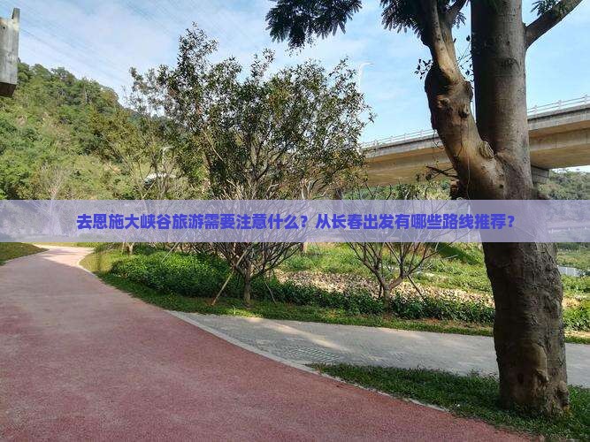 去恩施大峡谷旅游需要注意什么？从长春出发有哪些路线推荐？