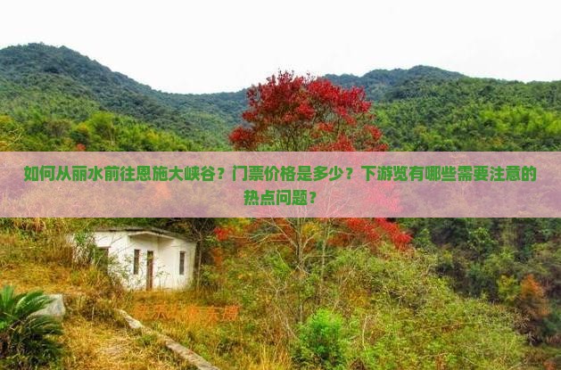 如何从丽水前往恩施大峡谷？门票价格是多少？下游览有哪些需要注意的热点问题？