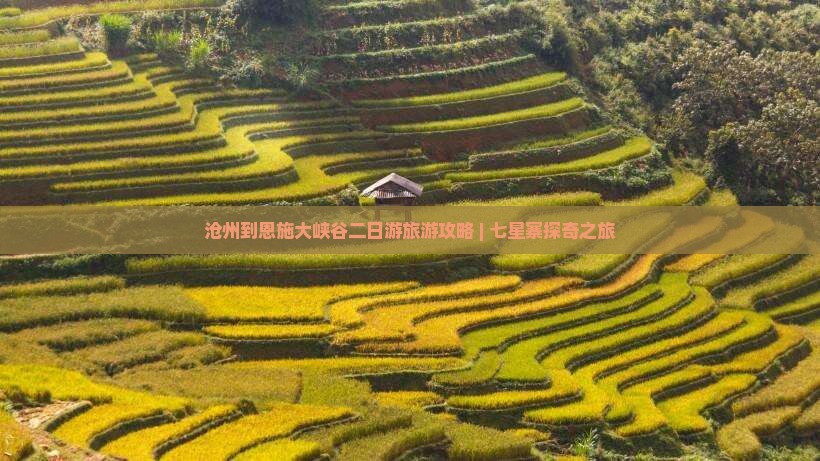 沧州到恩施大峡谷二日游旅游攻略 | 七星寨探奇之旅
