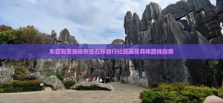 东营到恩施梭布垭石林旅行社距离及具体路线指南