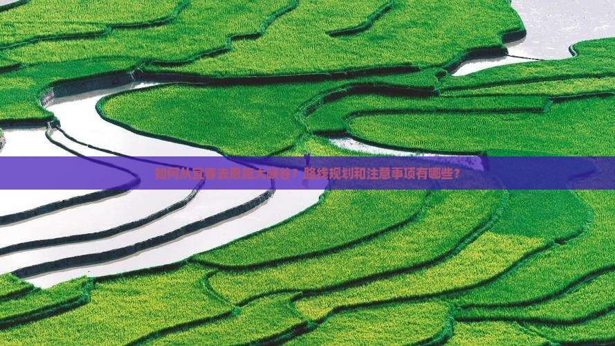 如何从宜春去恩施大峡谷？路线规划和注意事项有哪些？