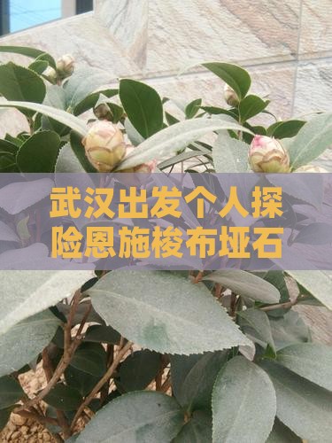 武汉出发个人探险恩施梭布垭石林之旅
