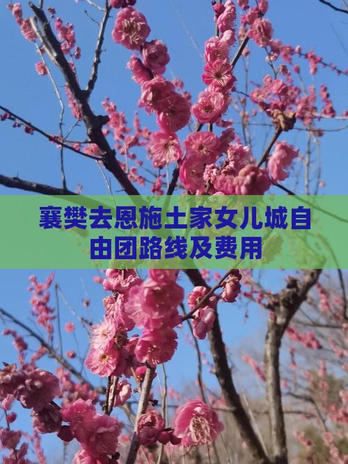 襄樊去恩施土家女儿城自由团路线及费用