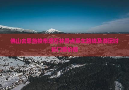 佛山去恩施梭布垭石林景点乘车路线及游玩时长门票价格