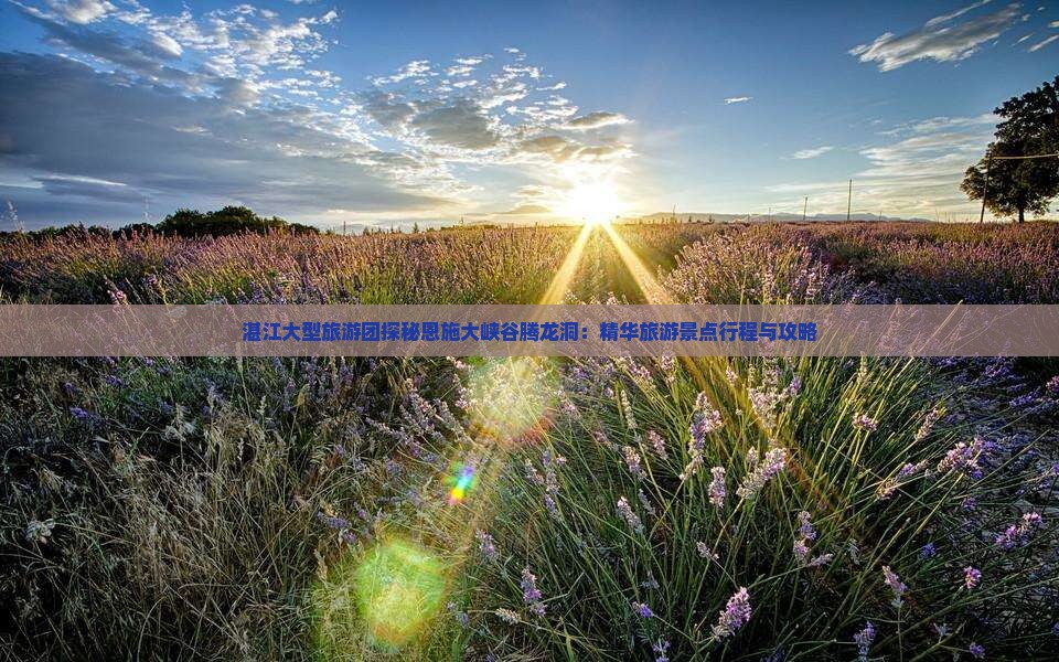 湛江大型旅游团探秘恩施大峡谷腾龙洞：精华旅游景点行程与攻略