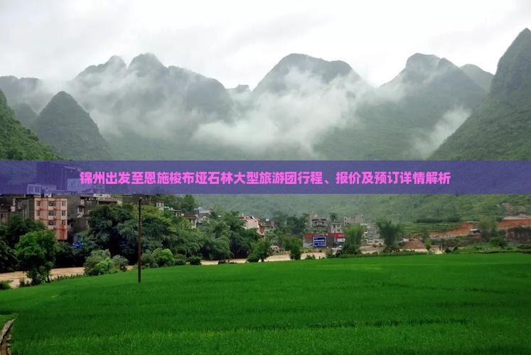 锦州出发至恩施梭布垭石林大型旅游团行程、报价及预订详情解析