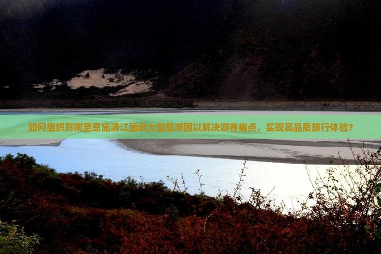 如何组织黔南至恩施清江画廊大型旅游团以解决游客痛点，实现高品质旅行体验？