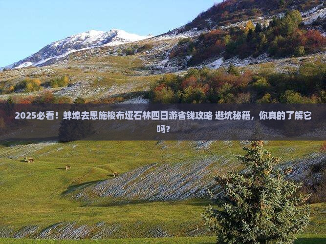 蚌埠去恩施梭布垭石林四日游