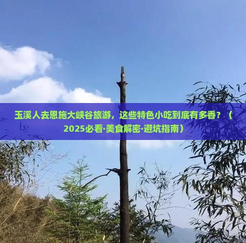 玉溪去恩施大峡谷旅游小吃