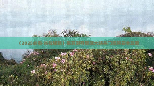 来宾到恩施大峡谷门票
