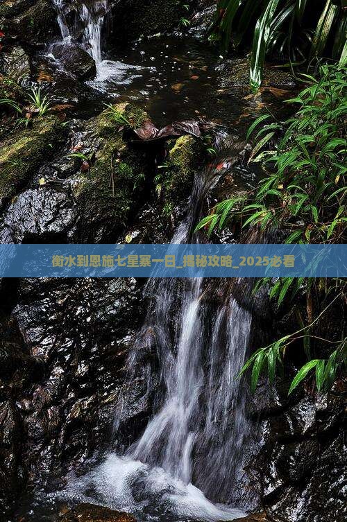 衡水到恩施七星寨一日
