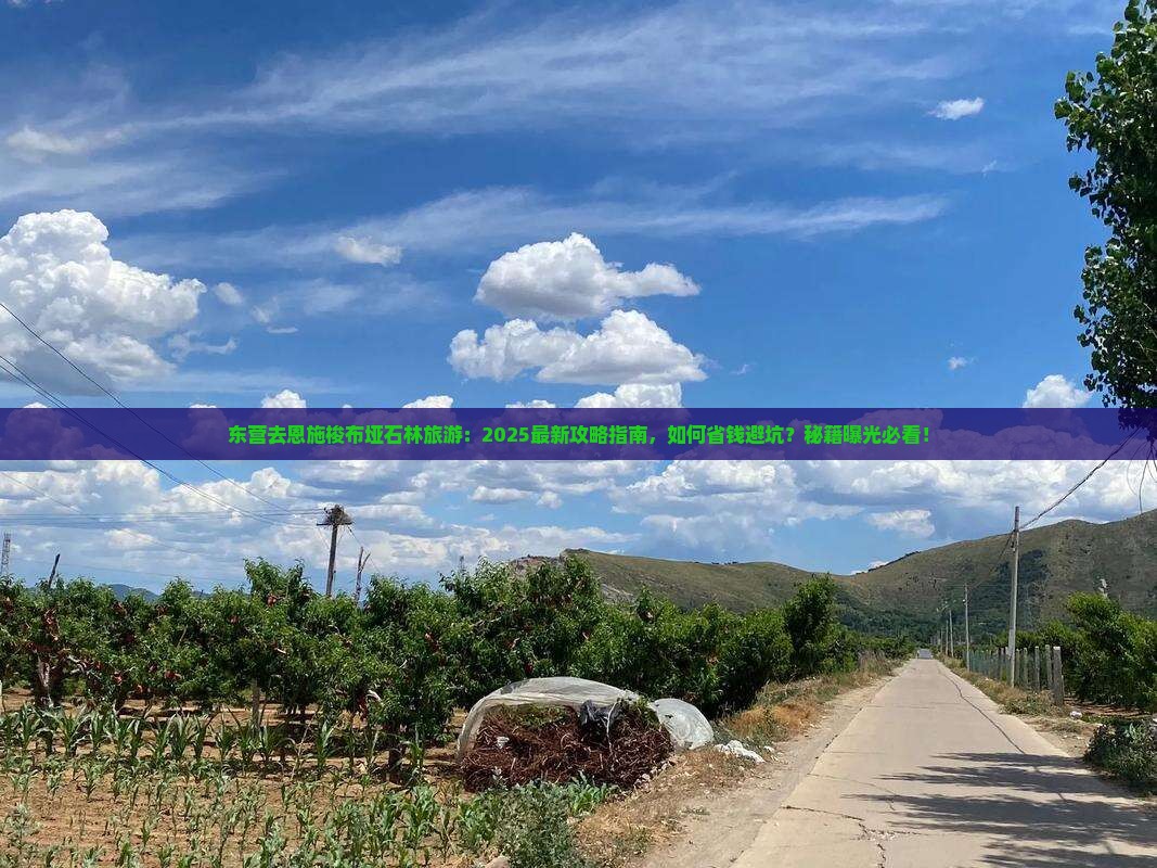 东营去恩施梭布垭石林旅游 东营去恩施梭布垭石林旅游