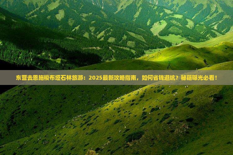 东营去恩施梭布垭石林旅游 东营去恩施梭布垭石林旅游