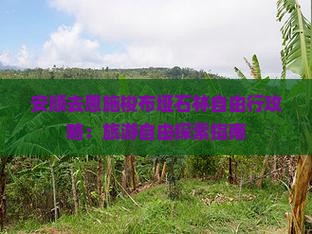 安顺去恩施梭布垭石林自由行