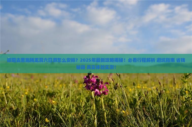 德阳去恩施腾龙洞六日游