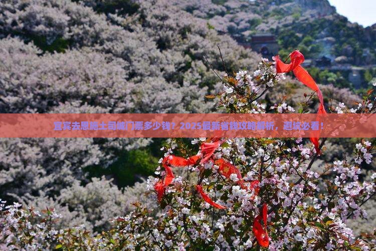 宜宾去恩施土司城门票