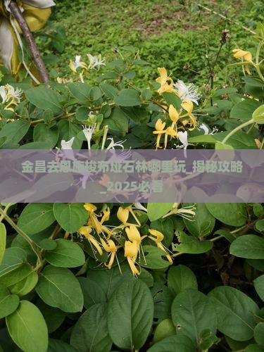 金昌去恩施梭布垭石林哪里玩
