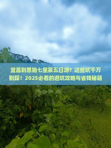 宜昌到恩施七星寨五日游