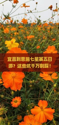 宜昌到恩施七星寨五日游