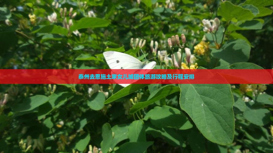 泰州去恩施土家女儿城团体旅游