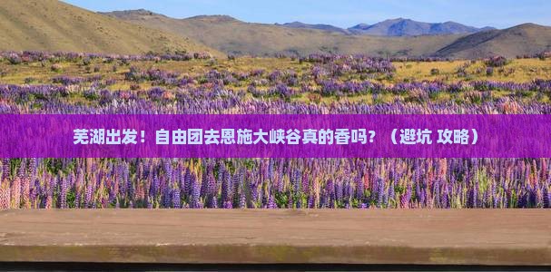 芜湖到恩施大峡谷自由团