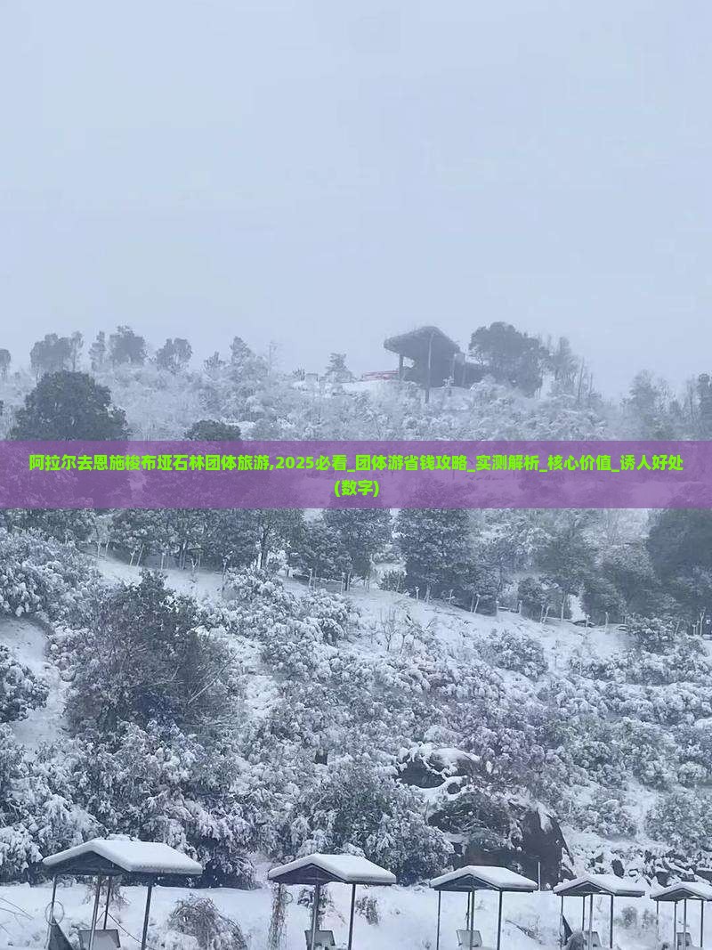 阿拉尔去恩施梭布垭石林团体旅游
